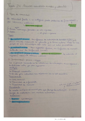 Tema-24.pdf