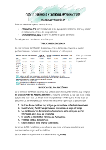 CLASE-7.pdf