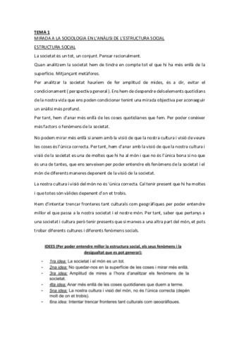 RESUM-TEMES-ESTRUCTURA-SOCIAL.pdf