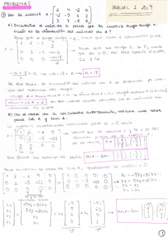 PACIAL-1-2019.pdf