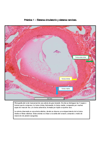 Informes-de-practicas-resueltos-para-examen.pdf