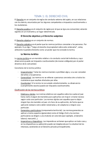 Temas-1-10-CIVIL-I.pdf