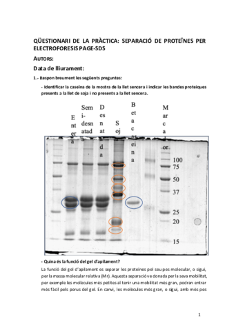 ELECTROFORESI-PAGE-SDS.pdf