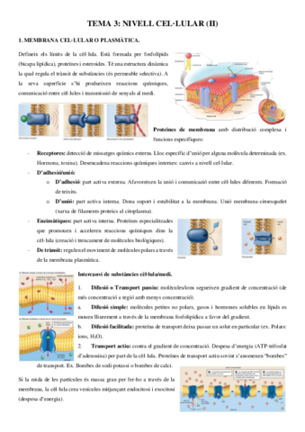 Tema-3.pdf