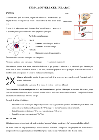 Tema-2.pdf