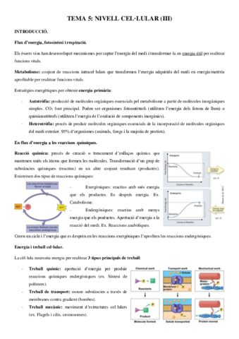 Tema-5.pdf