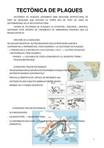 TEMA-3-TECTONIQUES-DE-PLAQUES.pdf