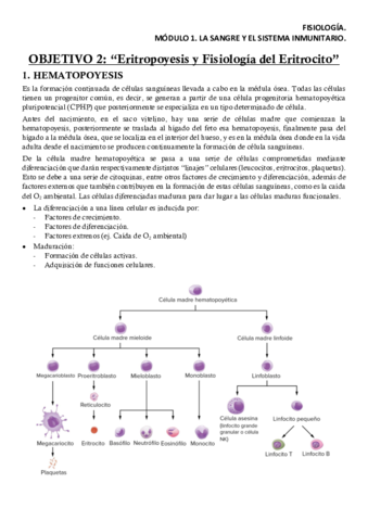 FISM1OB2Apuntes.pdf