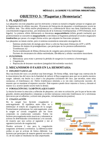 FISM1OB3Apuntes.pdf