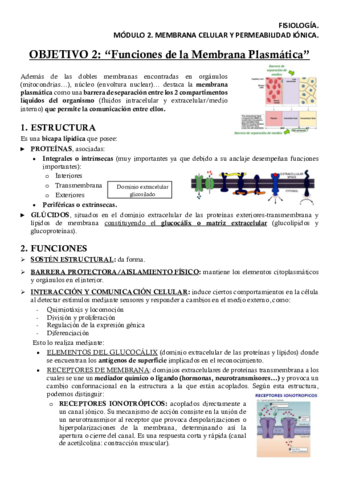 FISM2OB2Apuntes.pdf