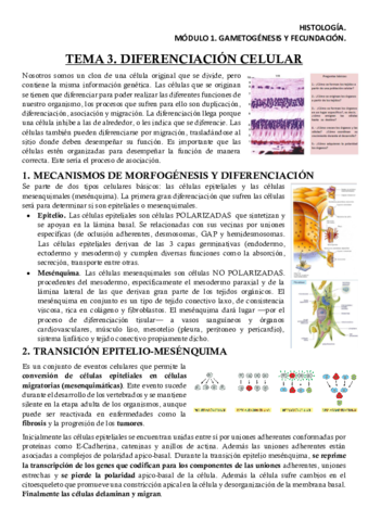 HISM1T3Apuntes.pdf