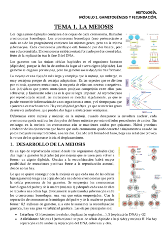 HISM1T1Apuntes.pdf