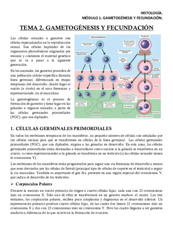 HISM1T2Apuntes.pdf