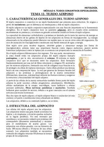 HISM4T12Apuntes.pdf