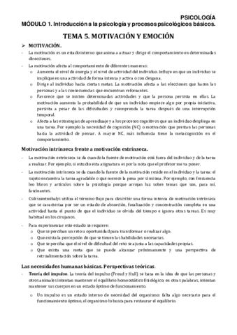 PSIM1T5Apuntes.pdf