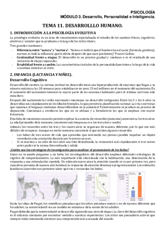 PSIM3T11Apuntes.pdf