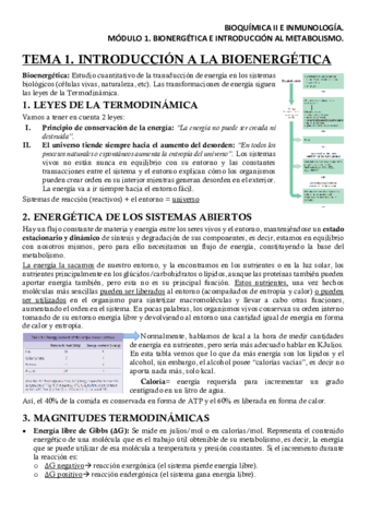 BQM1T1Apuntes.pdf
