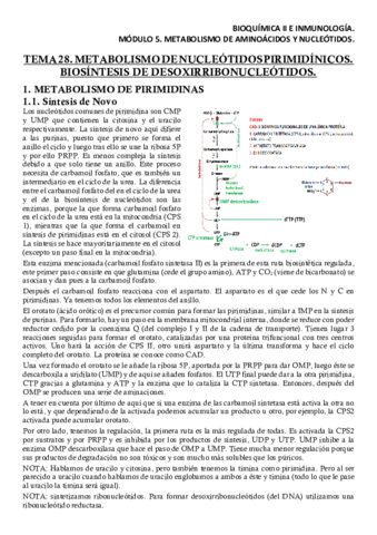 BQM5T28Apuntes.pdf