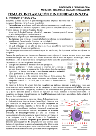 BQM9T43Apuntes.pdf