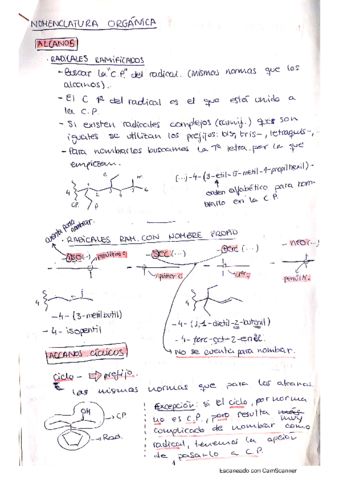 Formulacion-organica.pdf