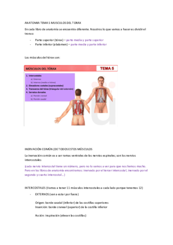 T5-MUSCULOS-DEL-TORAX.pdf