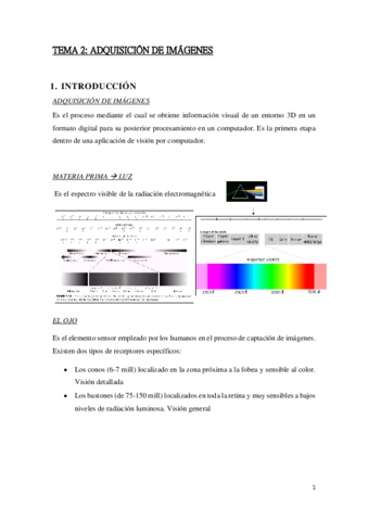 TEMA2SP.pdf