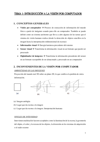 TEMA1SP.pdf
