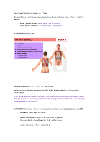 T5-ANATOMIA-FUNCIONAL.pdf