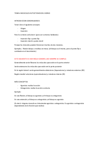 T4-ANATOMIA-FUNCIONAL.pdf