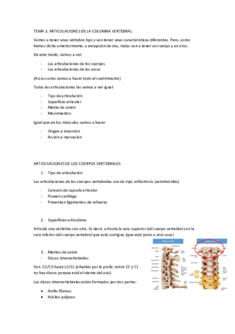 T3-ANATOMIA-FUNCIONAL.pdf