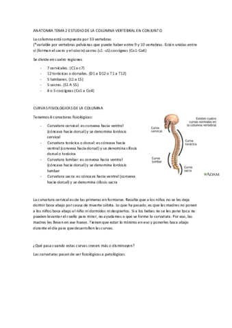 T2-ANATOMIA-FUNCIONAL.pdf