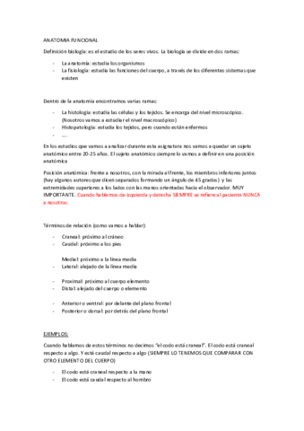 T1-ANATOMIA-FUNCIONAL.pdf