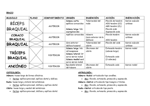 BRAZO CUADRO RESUMEN.pdf