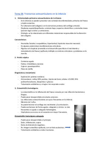 Tema-38.pdf