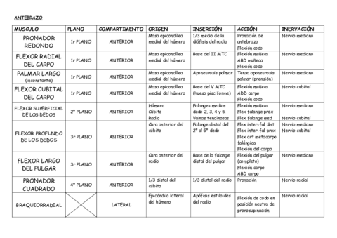 ANTEBRAZO CUADRO RESUMEN.pdf