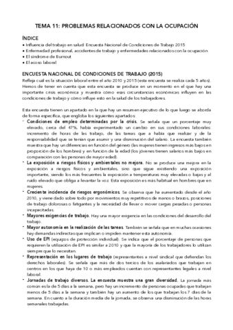 Tema-11-Problemas-relacionados-con-la-ocupacion.pdf