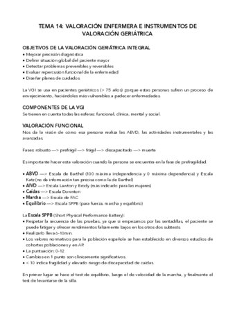 Tema-14-Valoracion-geriatrica-e-instrumentos.pdf