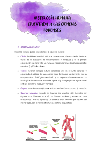 HISTOLOGIA-HUMANA-ORIENTADA-A-LAS-CIENCIAS-FORENSES.pdf