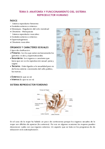 Tema-5-Aparato-reproductor.pdf