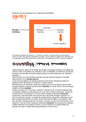 BioNutr1oBach-5.pdf