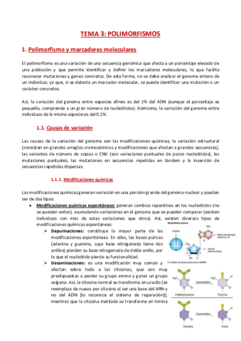 TEMA-3-Mejora-genetica.pdf