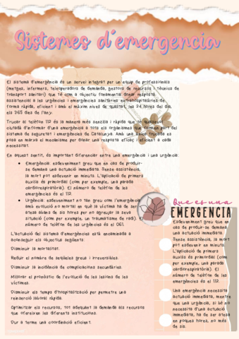 Sistema-demergencies.pdf