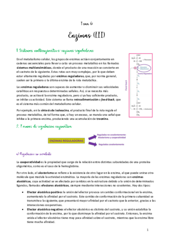 TEMA-6.pdf