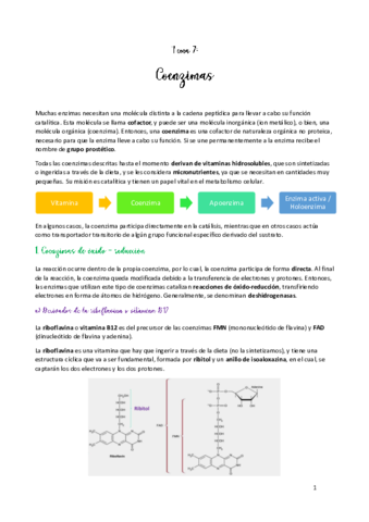 TEMA-7.pdf