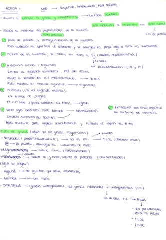 Cuaderno-practicas-resuelto.pdf