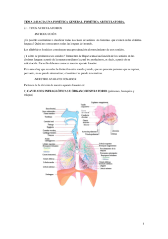 Fonetica-y-fonologia-Tema-2-PDF.pdf