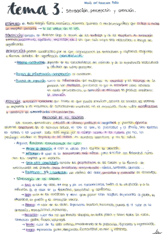 Psicologia-3-y-6.pdf