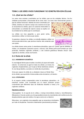 Tema-3.pdf