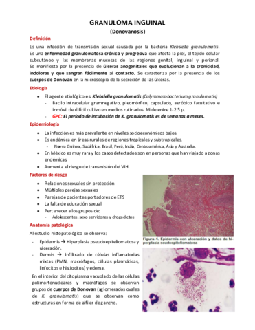 Granuloma-inguinal.pdf