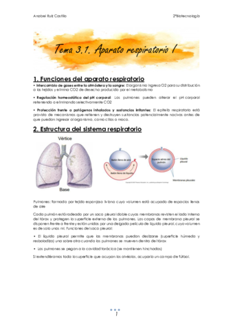 T3 Respiratorio.pdf